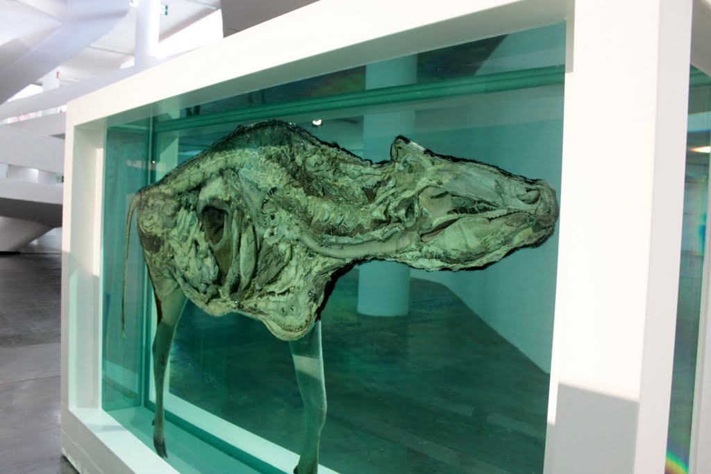 英國當代藝術家Damien Hirst...生死概念的詭譎詮釋與藝術爭議