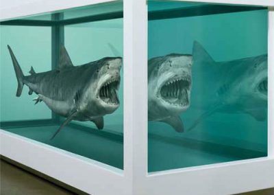 英國當代藝術家Damien Hirst…生死概念的詭譎詮釋與藝術爭議